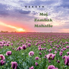 Download track Zamaku I Bardhe Geasyh