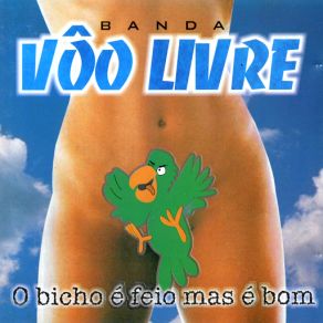 Download track Volta Pra Mim Banda Vôo Livre