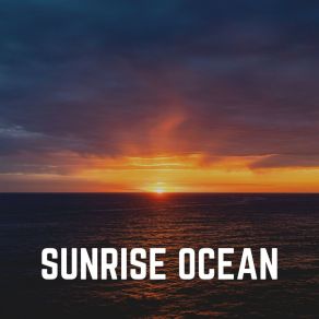 Download track Ocean Affirm For Sleeping