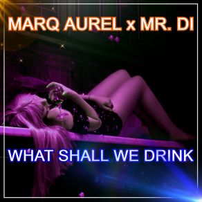 Download track Party To Much (Handsup Drink Mix) Mr. Di