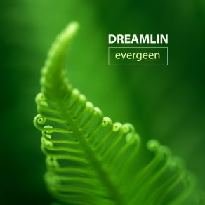 Download track November Dreamlin