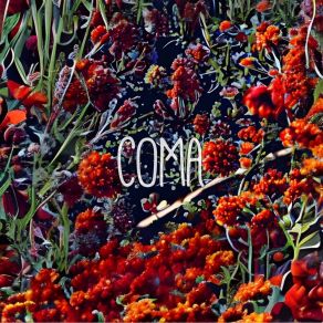 Download track Well Coma And Gill