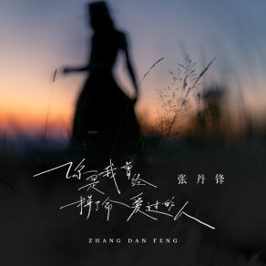 Download track 你是我曾经拼了命爱过的人 (伴奏) 张丹锋