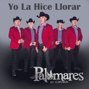 Download track Yo La Hice Llorar Palomares De Ojinaga