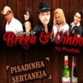 Download track Tremidinha Forrozão Brega E Vinho