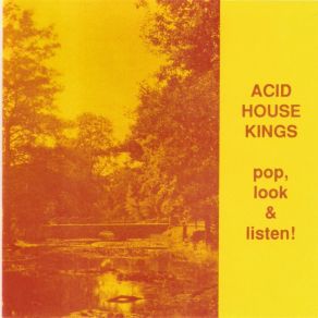 Download track Mrs. Green Acid House Kings