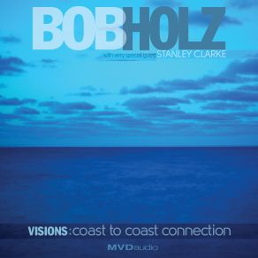 Download track Split Decision Bob HolzThe Visions