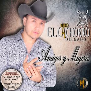 Download track Me Enamore De Ti (En Vivo) Mario El Cachorro Delgado