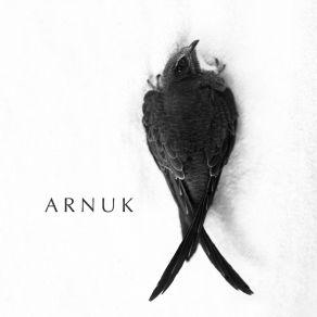 Download track Bulanık Sular ARNUKIşık Üstündağ