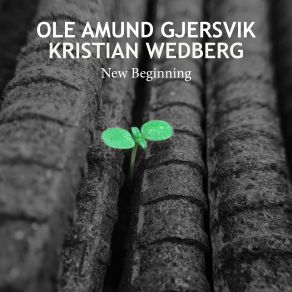 Download track New Beginning Ole Amund Gjersvik, Kristian Wedberg