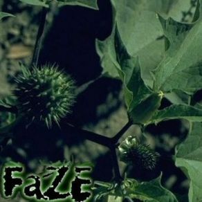 Download track FaZE - Horrendous - 03 - Epileptic Mirrors Of Madness FaZE