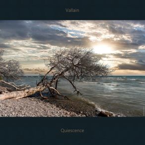 Download track Quiescence Vallain