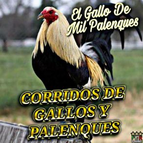 Download track Hoy Platique Con Mi Gallo Corridos Pesados