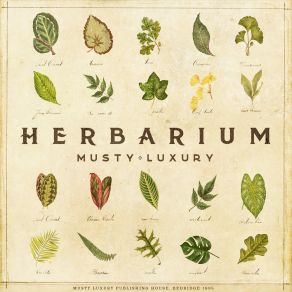 Download track Herbarium Intro Musty Luxury