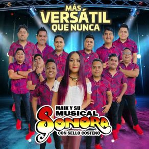 Download track Con Sabor A Cuisillos Su Musical Sonora