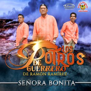 Download track Tu Me Mentias Los Potros De Guerrero