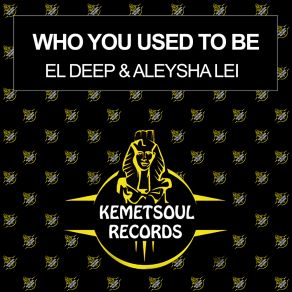 Download track Who You Used To Be (Instrumental Mix) Aleysha Lei