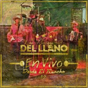 Download track Julio Beltran (En Vivo) Los Amigos Del Llano