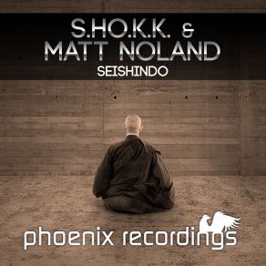 Download track Seishindo (Radio Mix) S. H. O. K. K., Matt Noland