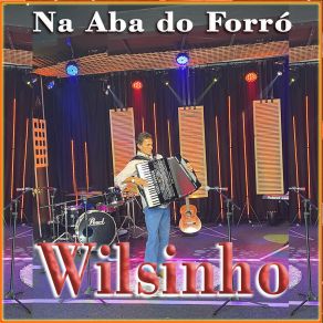 Download track Baião Do Sabiá Wilsinho