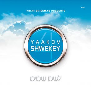 Download track Ki Hashem Yaakov Shwekey