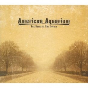 Download track Come Around This Town American Aquarium