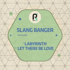 Download track Labyrinth Slang Banger