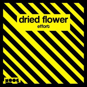 Download track Effort Dried Flower