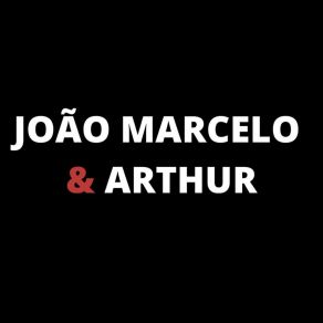 Download track Não To Com Raiva De Você (Ao Vivo) João Marcelo