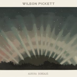 Download track Robert's Monkey Beat Wilson Pickett