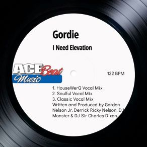 Download track I Need Elevation (Housewerq Mix) Gordon Nelson Jr