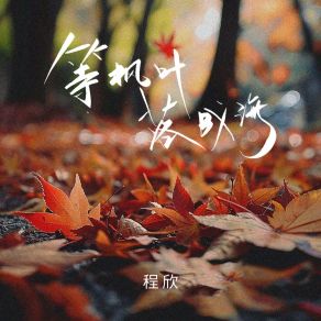 Download track 等枫叶落成海 (和声伴奏版) 程欣