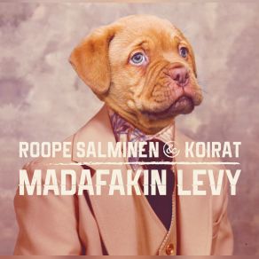 Download track Tähdet Kohdallaan Koirat, Roope Salminen