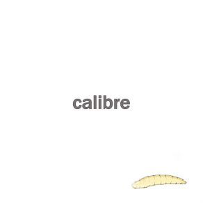 Download track Garbage Man Calibre