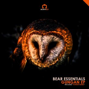 Download track See You (Original Mix) Bear Essentials