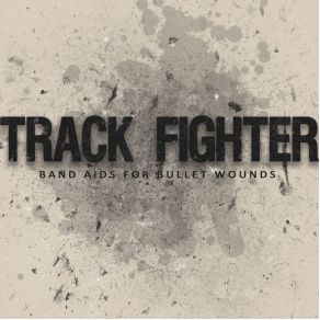 Download track Too Broken To Mend Track Fighter