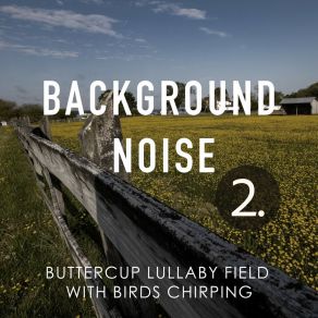 Download track Buttercup Lullaby Field With Birds Chirping, Pt. 19 Thomas O'Reilly