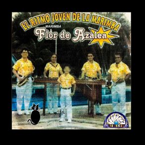 Download track Flor De Azalia Marimba Flor De Azalea