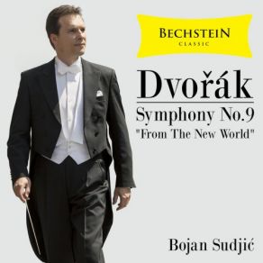 Download track Symphony No. 9 In E Minor, Op. 95 New World Symphony IV. Allegro Con Fuoco Bojan Sudjic