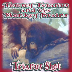 Download track All Right The Monkey Brains