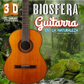 Download track Guitarra En El Bosque Descanso Emiliano Bruguera