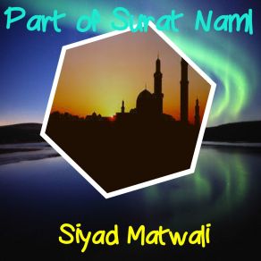 Download track Part Of Surat Naml, Pt. 1 (Quran) Siyad Matwali