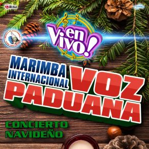 Download track Campanas De Navidad (En Vivo) Marimba Internacional Voz Paduana