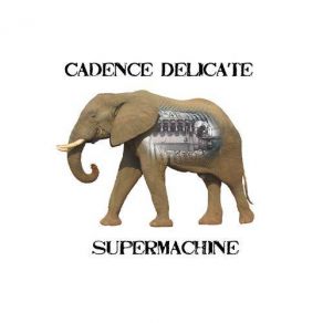 Download track The Great Barrier Thief Cadence Delicate