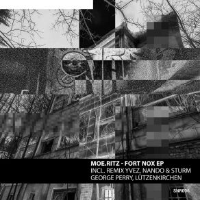 Download track Fort Nox (Lutzenkirchen Remix) Moe. RitzLützenkirchen