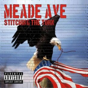 Download track Stitching The Torn Meade Ave