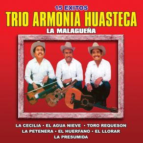 Download track La Presumida Trio Armonia Huasteca