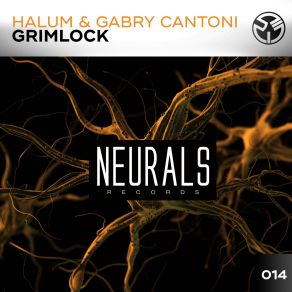 Download track Grimlock (Original Mix) Halum, Gabry Cantoni