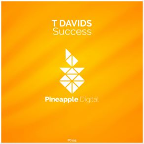 Download track Success T Davids