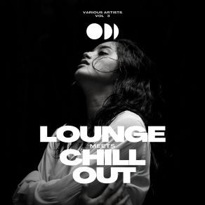 Download track Got To Go (Original Mix) Lounge Groove Avenue